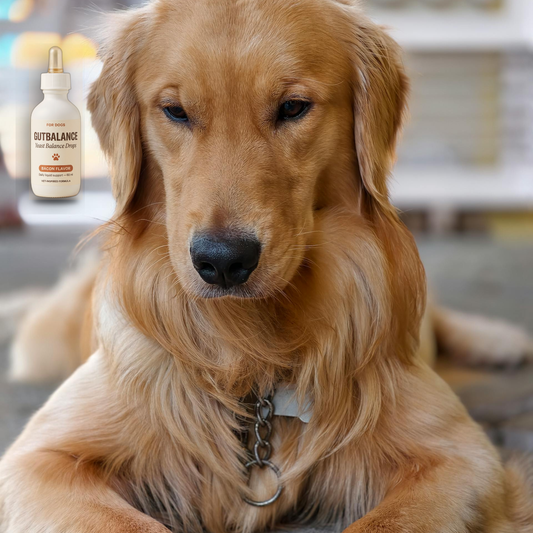 GutBalance hero — premium dog yeast supplement