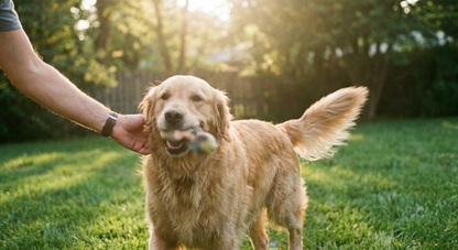 GutBalance Yeast Drops