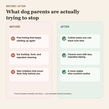 GutBalance before-and-after symptom comparison selling photo